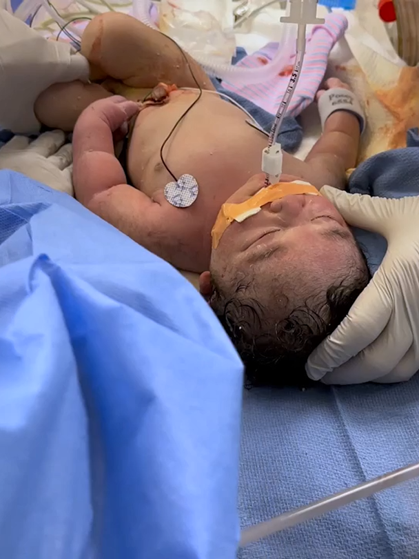 Newborn